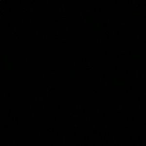 Meet your Posher, Gracie